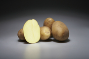 Семенной картофель из Германии