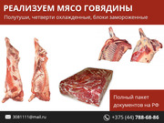 Мясо говядины по выгодным ценам.